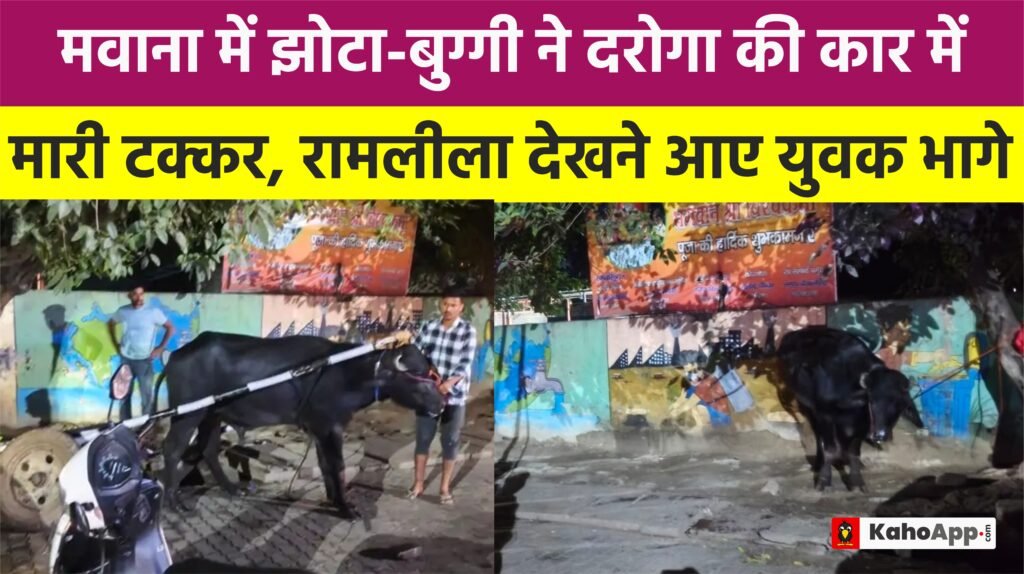 मवाना में बेकाबू भैंसा बुग्गी