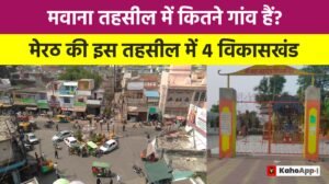 मवाना तहसील में कितने गांव हैं?