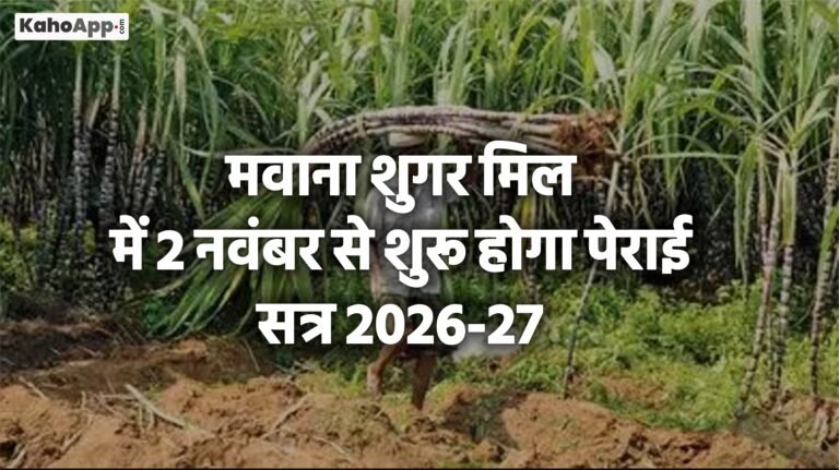 मवाना शुगर मिल में 2 नवंबर से शुरू होगा पेराई सत्र 2026-27, किसानों को भेजा गया संदेश