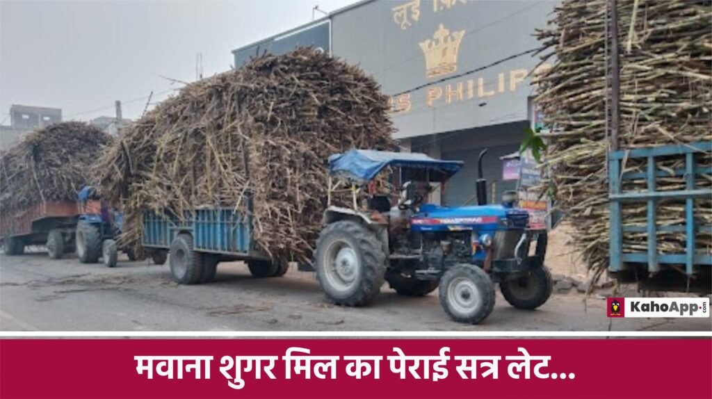 मवाना शुगर मिल का पेराई सत्र लेट